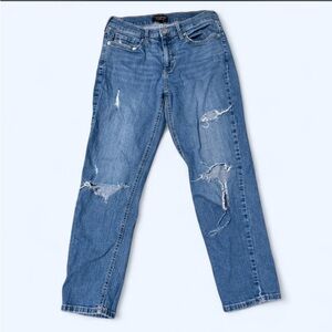 PETITE Banana Republic Light Blue Girlfriend Jeans